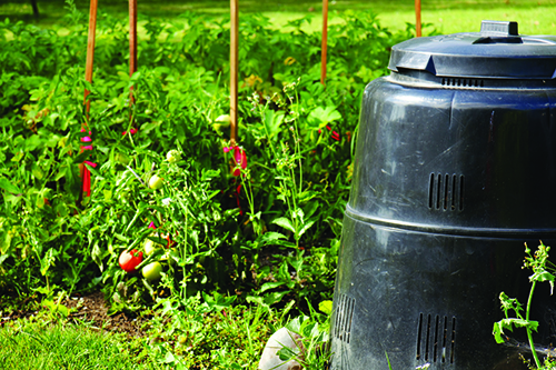 Give composting a try, to be environmentally friendly Give composting a try, to be environmentally friendly