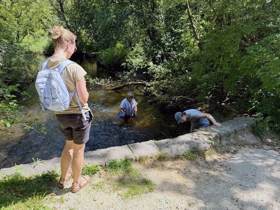 Make it a Snapshot Day to search for invasive species