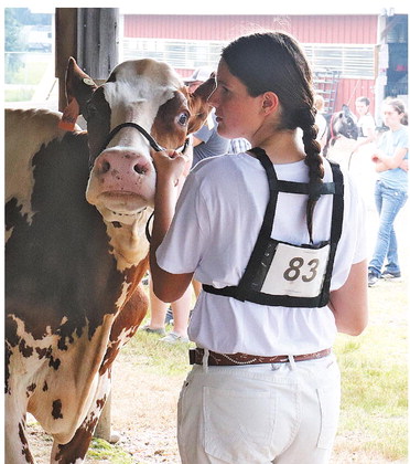 Results from the 2025 Taylor County Fair by department