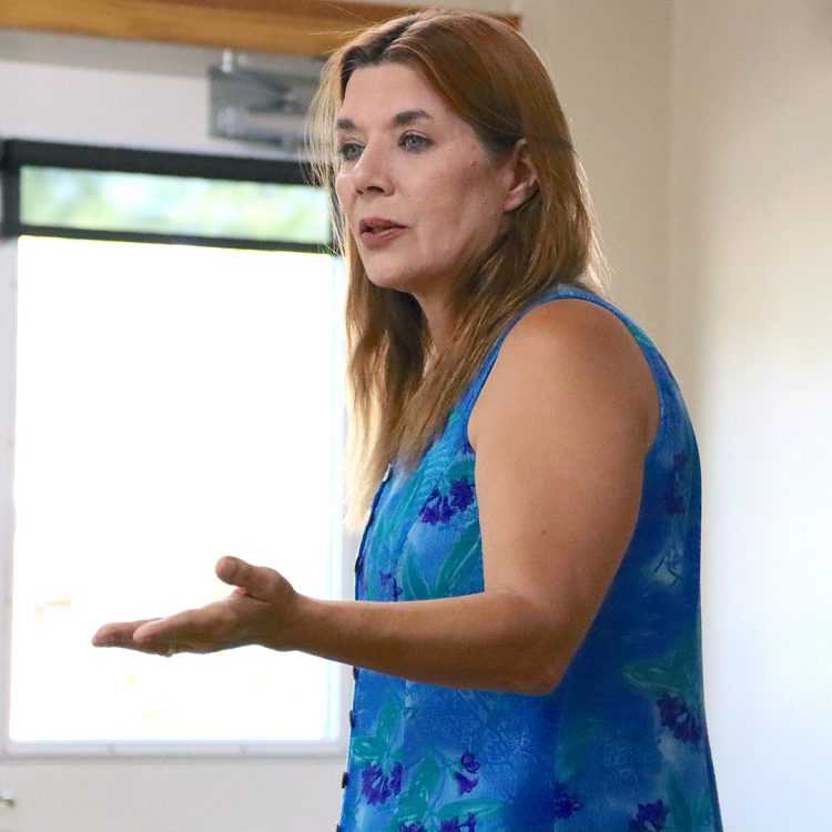 Park bridge in limbo as state reviews project after complaint
