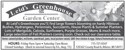 recordreview_20250806_trr-2025-08-06-0-012_art_2.xml