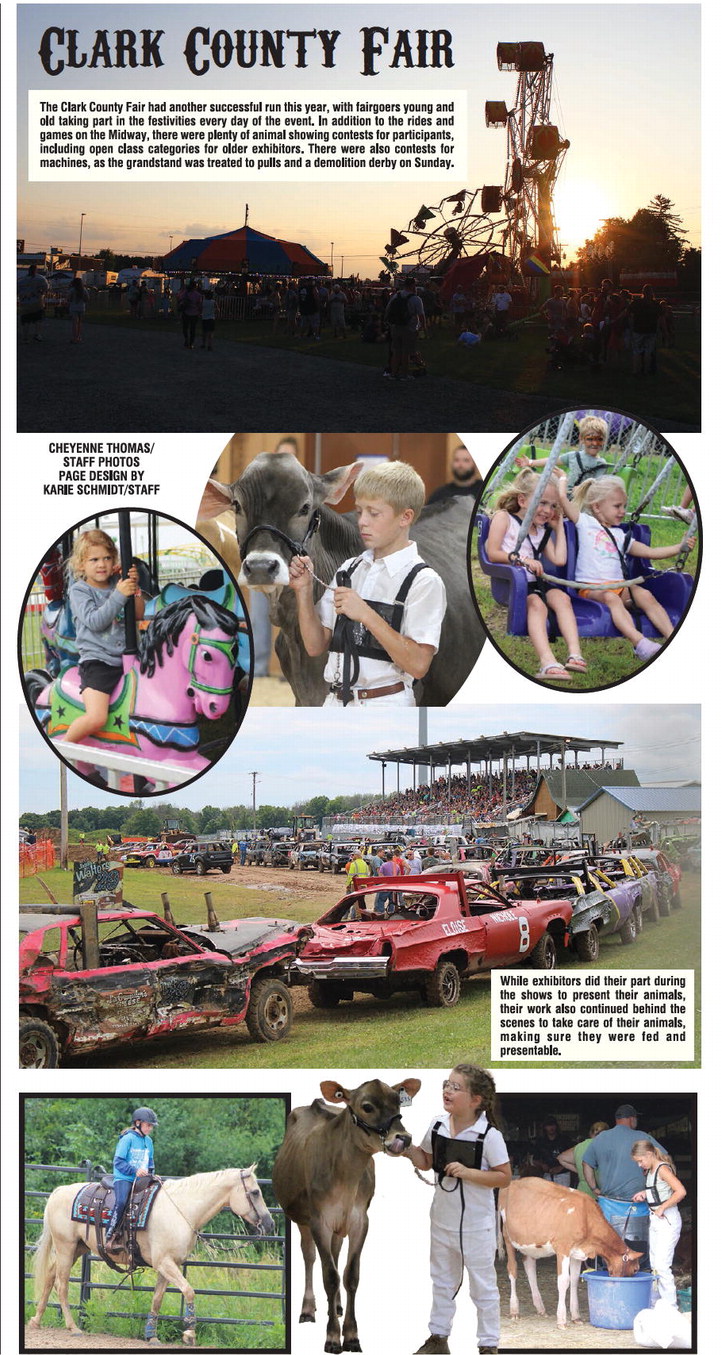 recordgleaner_20250813_trg-2025-08-13-0-002_w-opt_art_1.xml