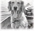Mississippi River Canoe TVip