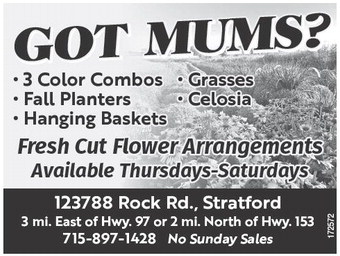 recordreview_20250827_trr-2025-08-27-0-014_w-opt_w-socr_art_4.xml