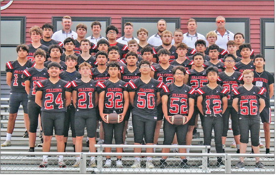 Falcon veterans pushing for deeper playoff run