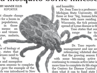 Tick and mosquito borne illnesses rise as region gets warmer