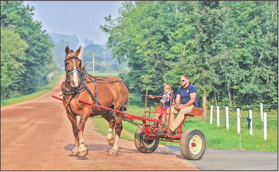 Taking the reins Taking the reins