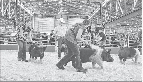 GREENWOOD FFA COMPETES AT FAIR; CLEANS ROADSIDE; PLANS FOR BLOOD DRIVE, POINSETTIA SALE