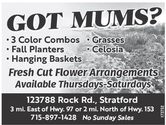 recordreview_20250910_trr-2025-09-10-0-002_art_2.xml