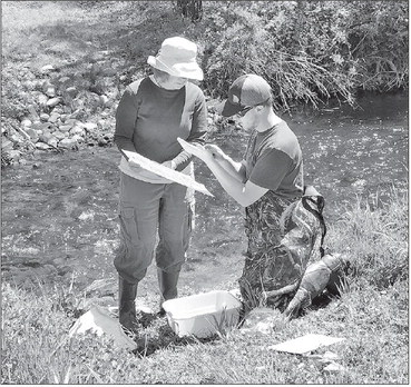 Keeping streams healthy