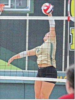Hornets get win in home opener, place third in tourney