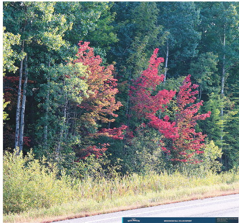 Check out the fall colors while there is still time