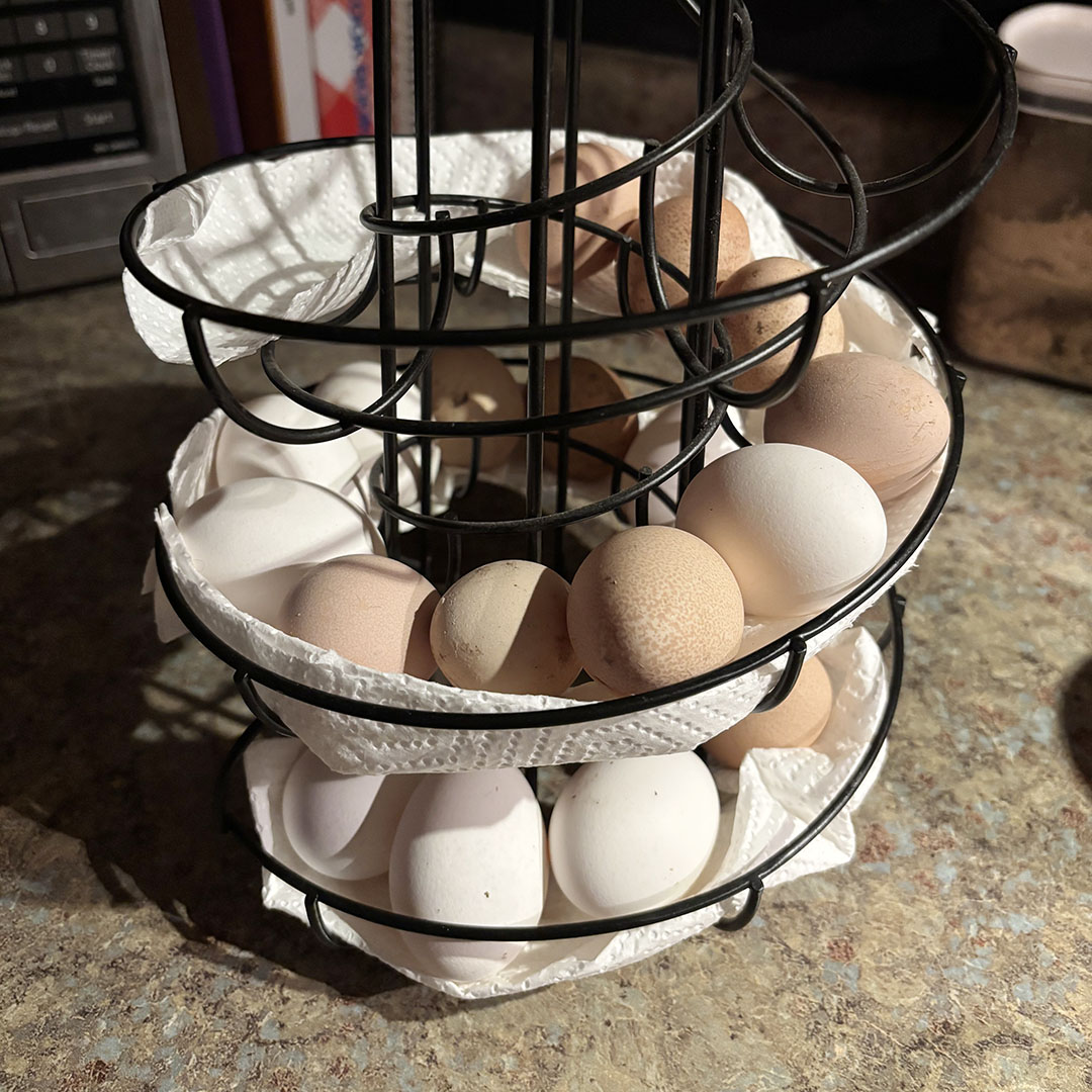 Toe-where to go but up