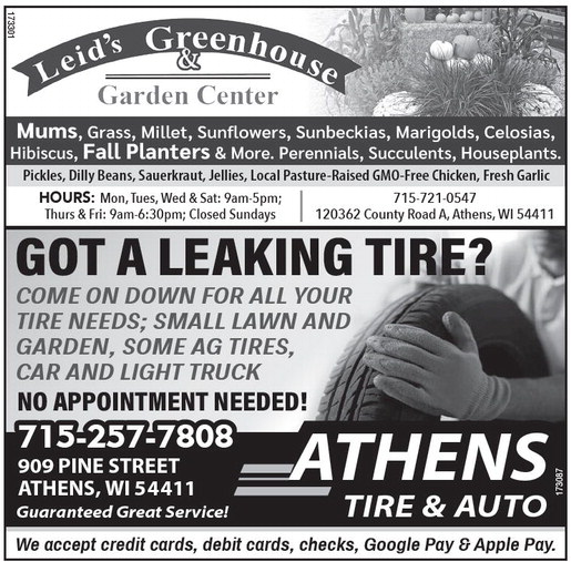 recordreview_20250903_trr-2025-09-03-0-020_w-opt_art_2.xml