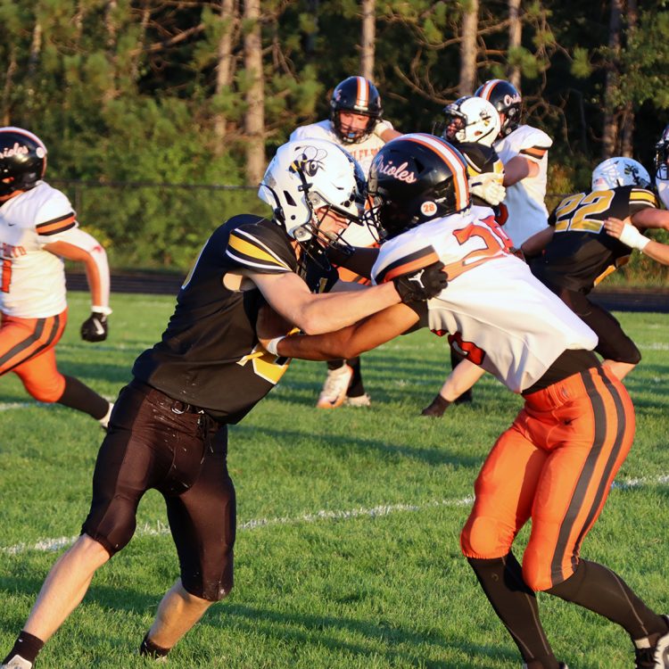Orioles pecked by Hornets, for Veterans Night victory