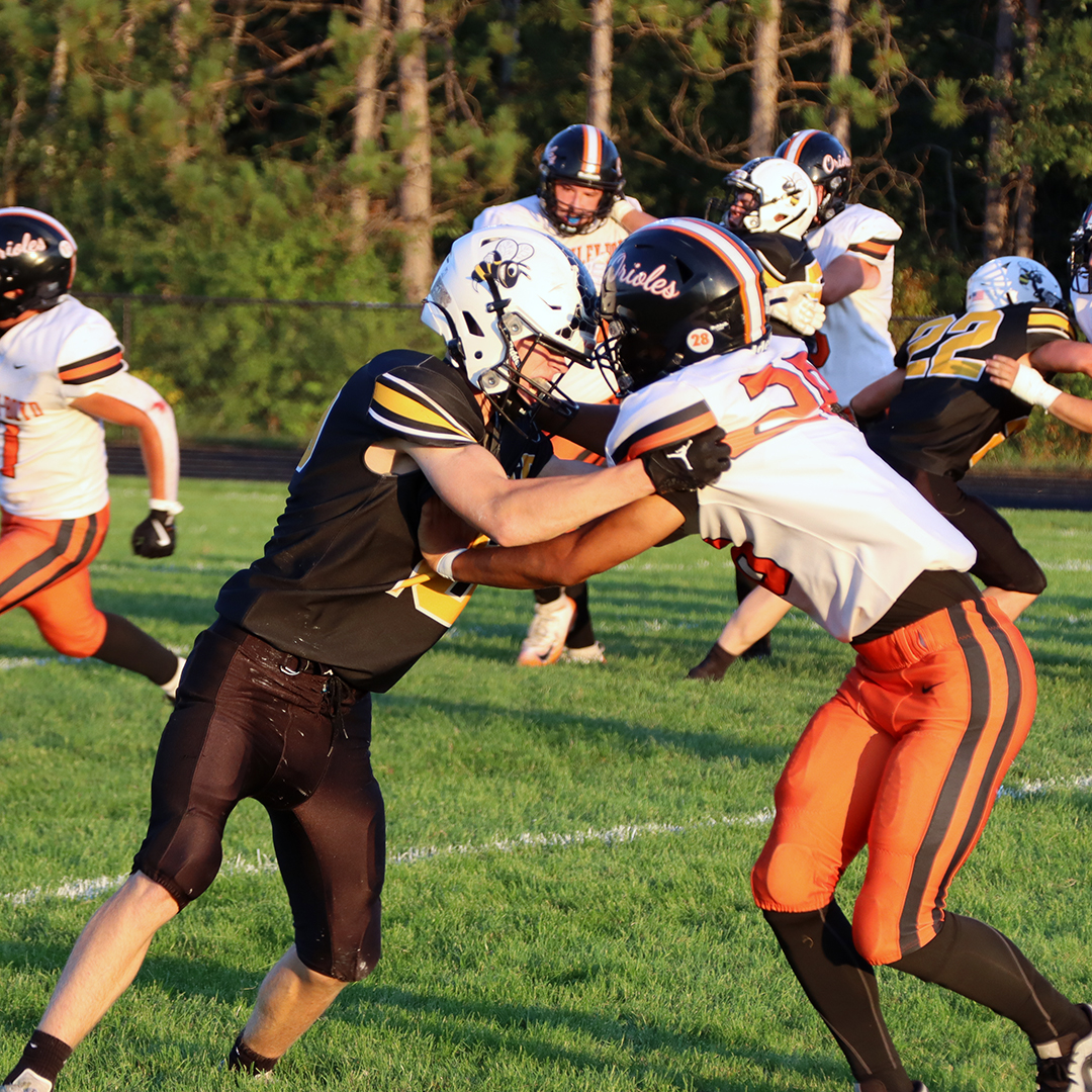 Orioles pecked by Hornets, for Veterans Night victory