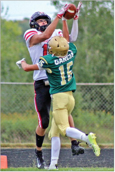 Raiders dominate the Hornets