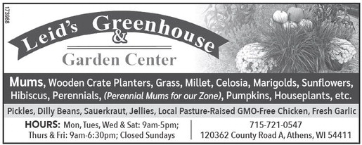 recordreview_20250917_trr-2025-09-17-0-008_art_4.xml