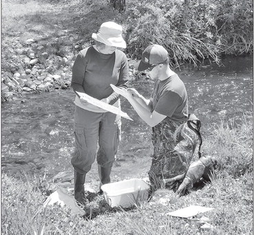 Keeping streams healthy