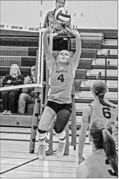 Falcons take both matches in home triangular