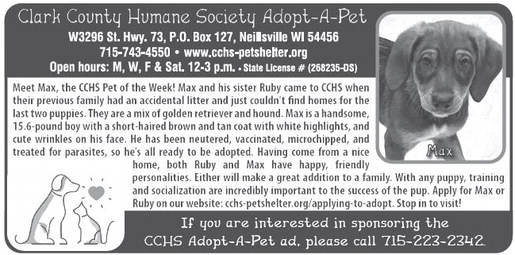 recordgleaner_20250924_trg-2025-09-24-0-005_art_6.xml