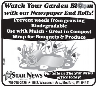 starnews_20251023_tsn-2025-10-23-b-014_art_1.xml