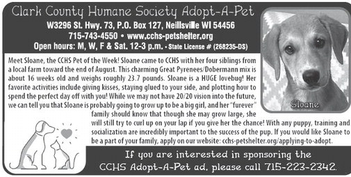 recordgleaner_20251001_trg-2025-10-01-0-008_art_2.xml