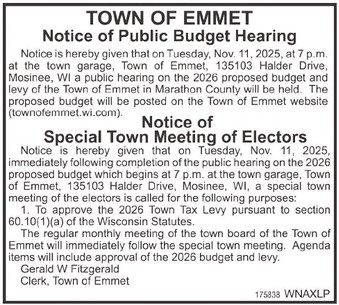 recordreview_20251029_trr-2025-10-29-0-018_w-opt_art_1.xml