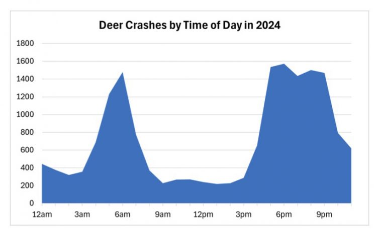 WisDOT urges caution on the roads as deer activity increases