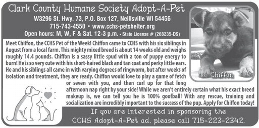 recordgleaner_20251029_trg-2025-10-29-0-006_art_2.xml