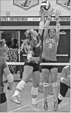 Hornets best O-W, bounced on road by Loyal