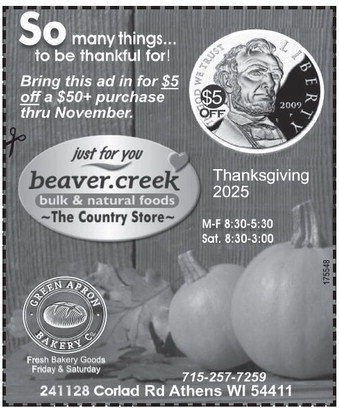 recordreview_20251029_trr-2025-10-29-0-003_art_5.xml