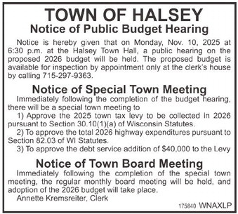 recordreview_20251029_trr-2025-10-29-0-018_w-opt_art_4.xml