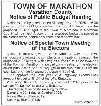 recordreview_20251029_trr-2025-10-29-0-018_w-opt_art_5.xml