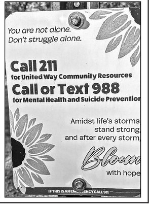 recordreview_20251029_trr-2025-10-29-0-005_art_2.xml