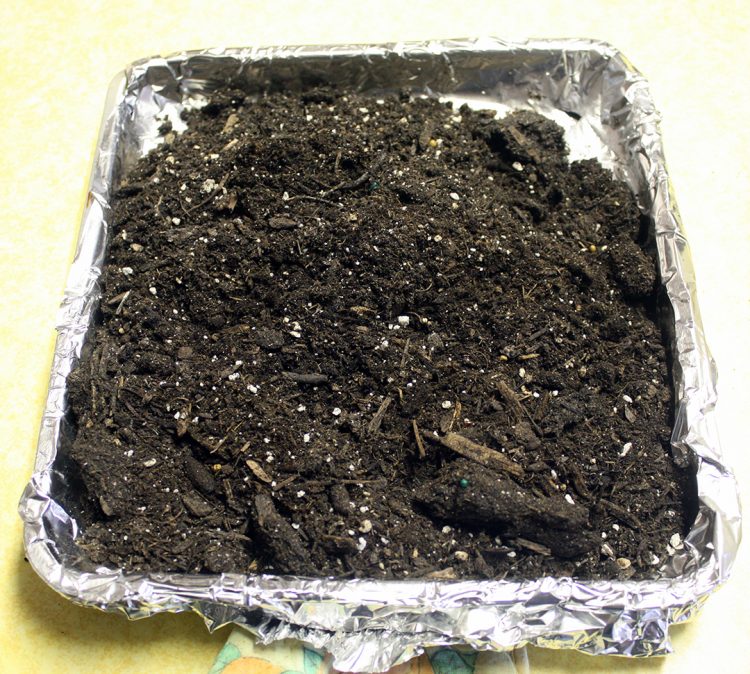 Soiling Myself Soiling Myself