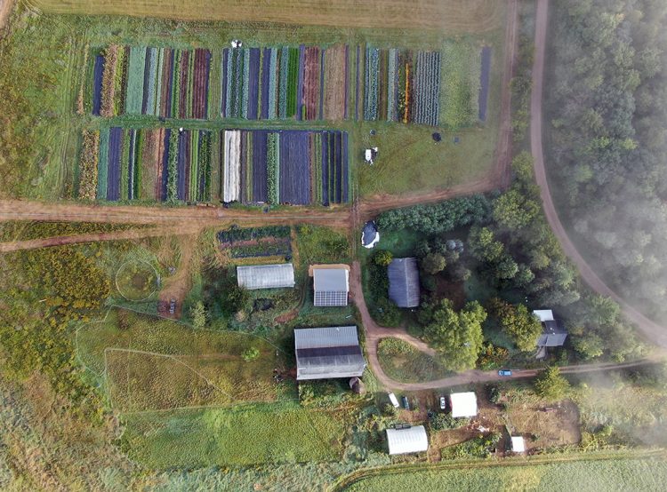 Beginning farmers struggle to find land; Could a new website help?