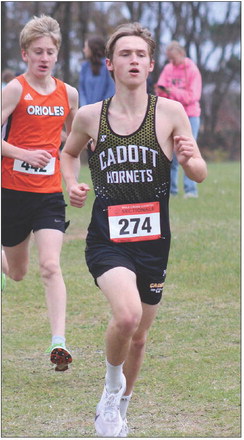 Hornets capture their second Sectional title