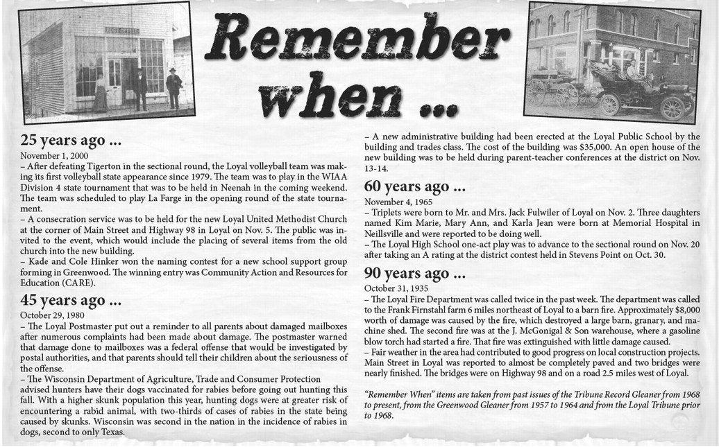 recordgleaner_20251029_trg-2025-10-29-0-009_art_1.xml