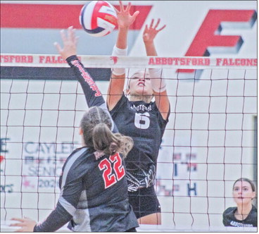 Falcons secure back-toback Marawood titles