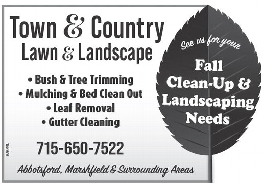 starnews_20251009_tsn-2025-10-09-c-005_art_3.xml