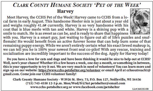 tribunephonograph_20251022_ttp-2025-10-22-0-015_art_4.xml