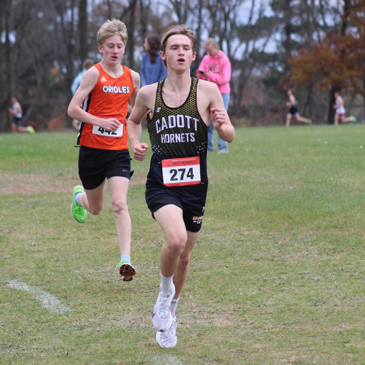 Hornets capture their second Sectional title
