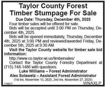 starnews_20251113_tsn-2025-11-13-a-014_art_5.xml