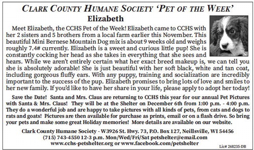 tribunephonograph_20251126_ttp-2025-11-26-0-010_art_4.xml