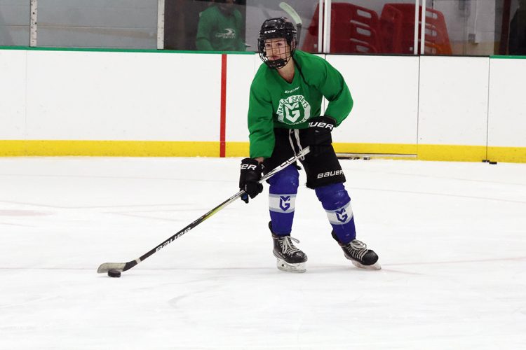 Girls hockey season starts with new conference, new staff
