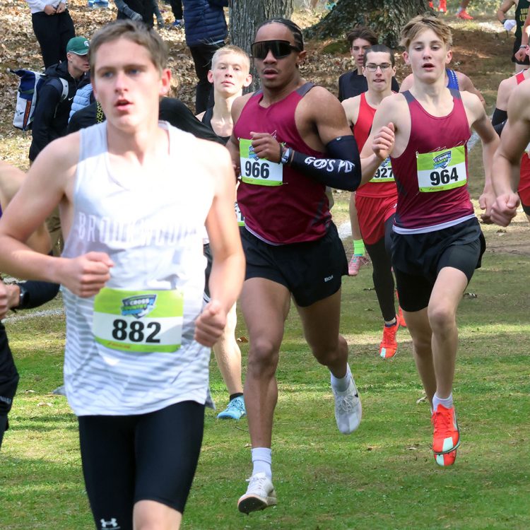 A SECOND STRAIGHT SILVER FOR THE HAWKS