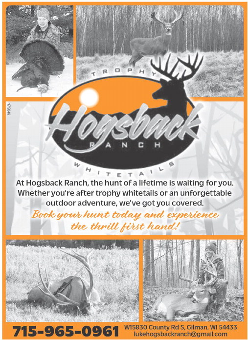 recordreview_20251112_trr-2025-11-12-b-011_art_2.xml