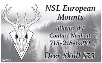 starnews_20251113_tsn-2025-11-13-c-016_art_3.xml