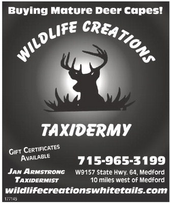 starnews_20251127_tsn-2025-11-27-b-007_art_2.xml